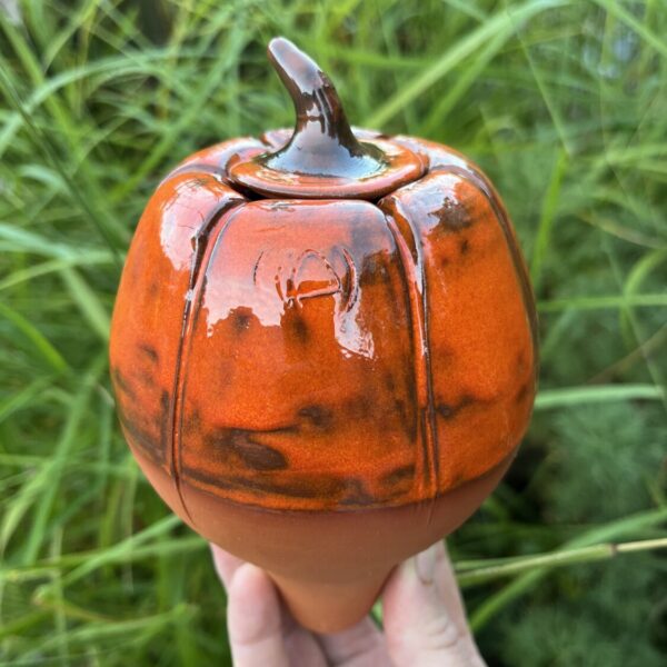 olla à planter 50 cl