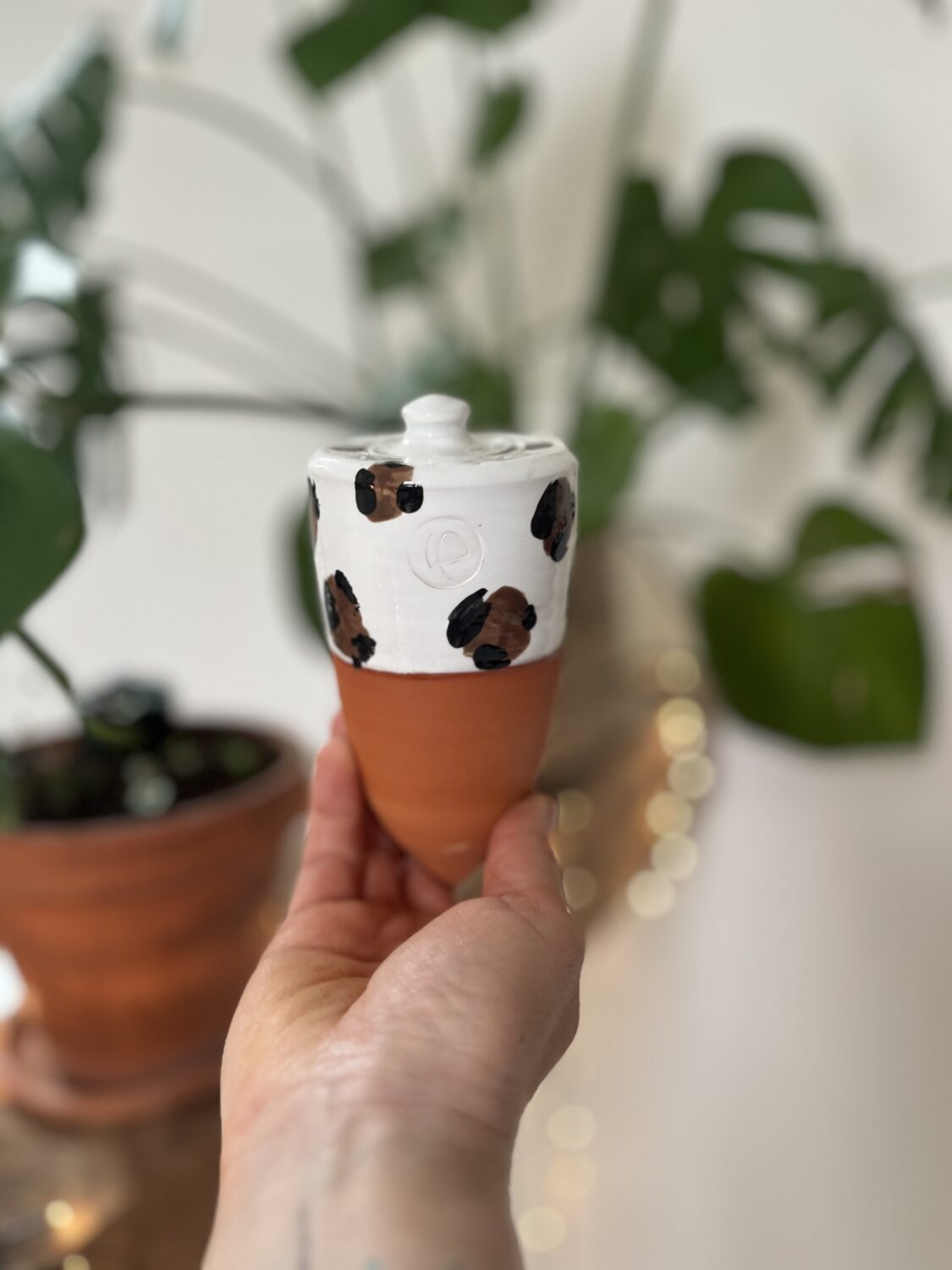 olla à planter léopard 25 cl