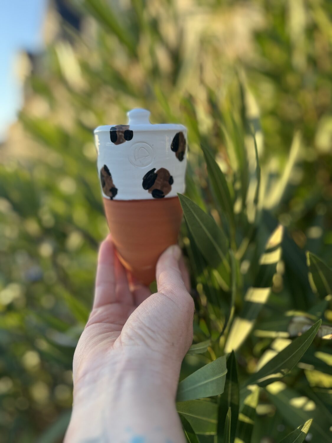 olla à planter léopard 25 cl