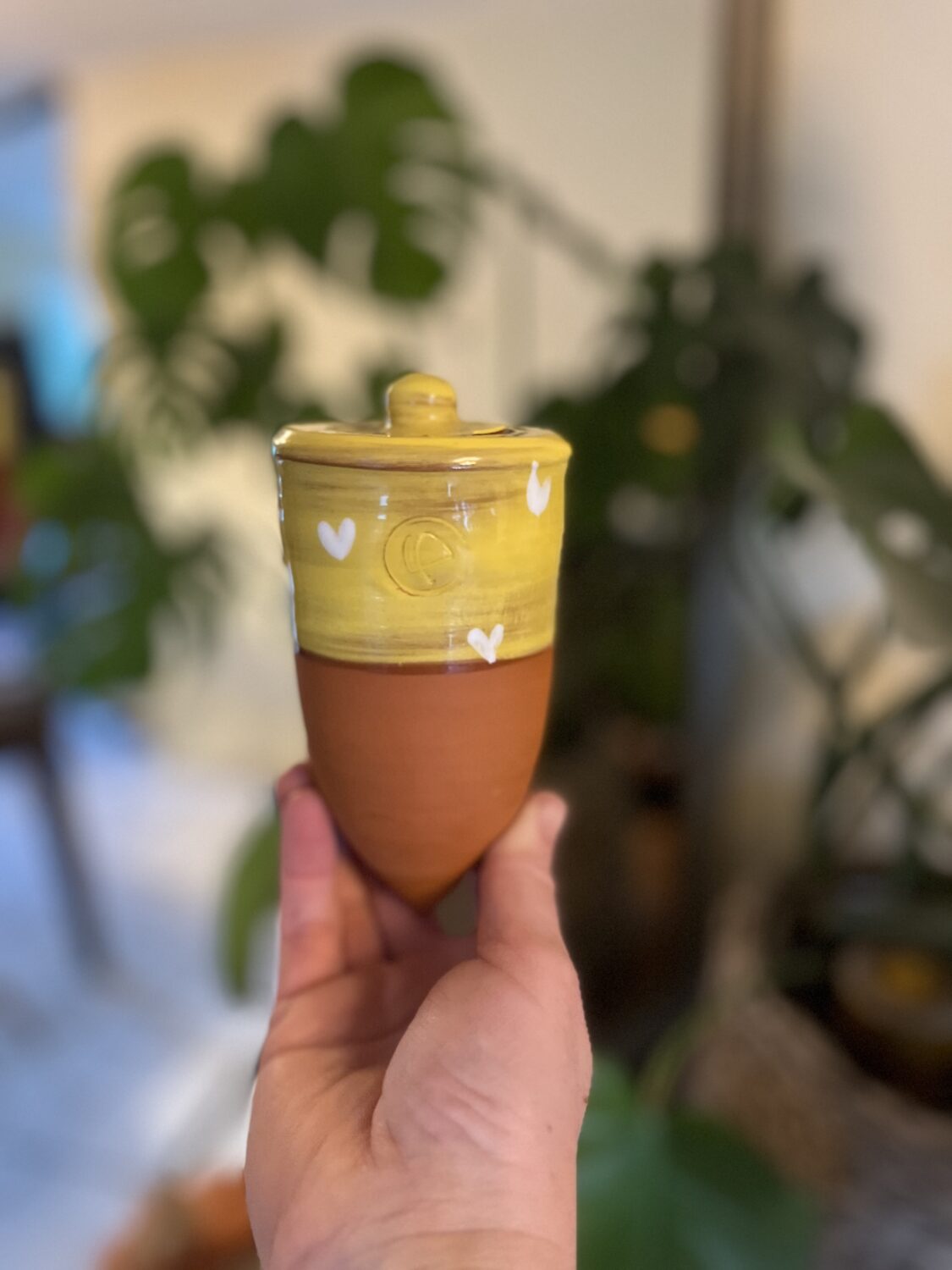 olla à planter coeur 25 cl
