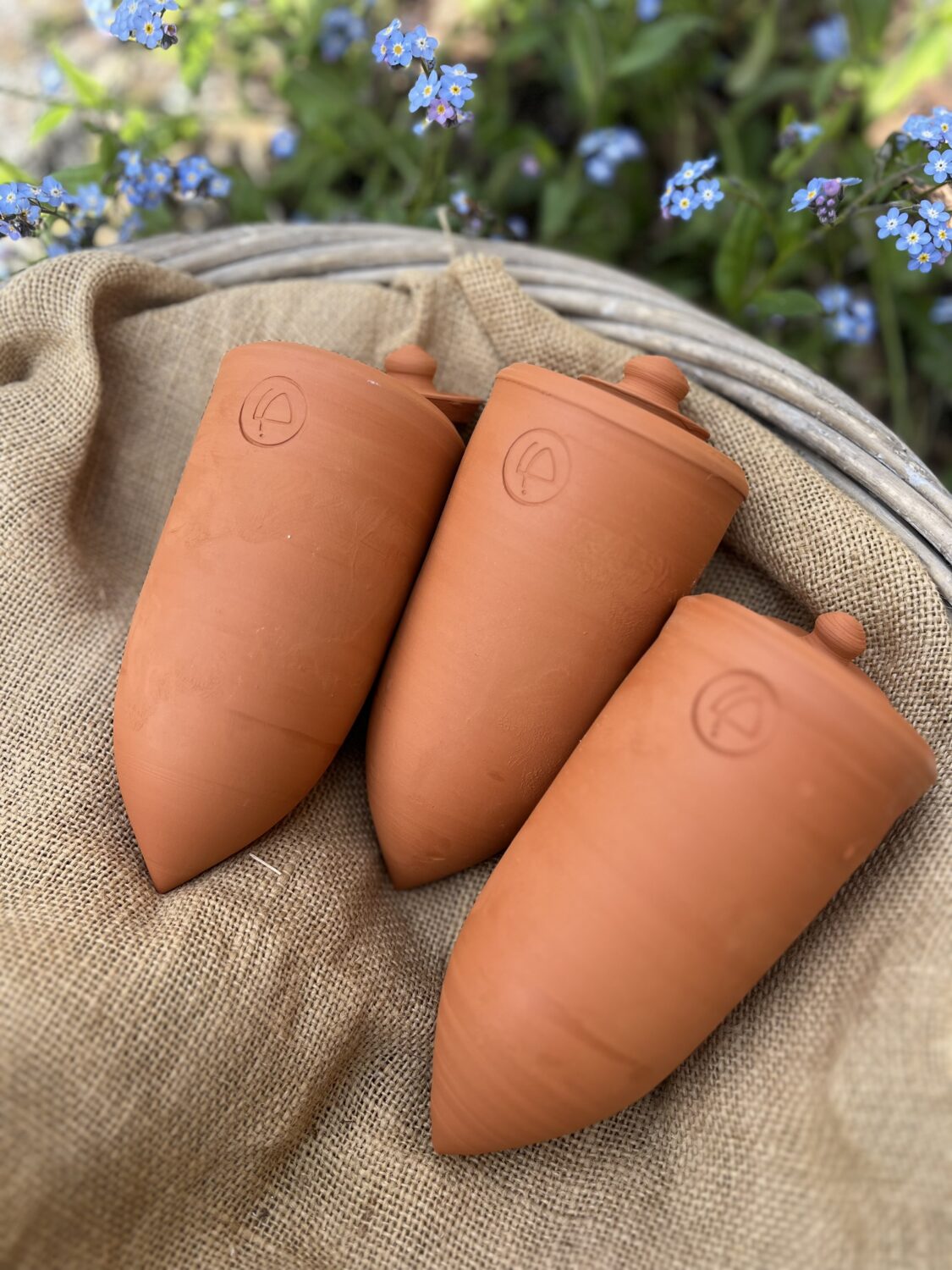 lot de 3 ollas à planter